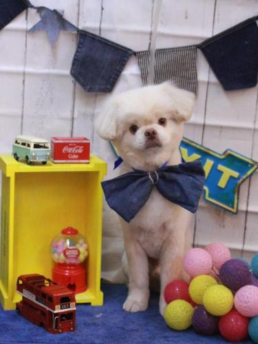 20230429琥珀くん